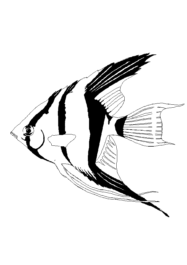 Fish coloring pages