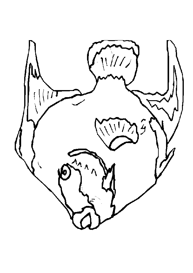 Fish coloring pages