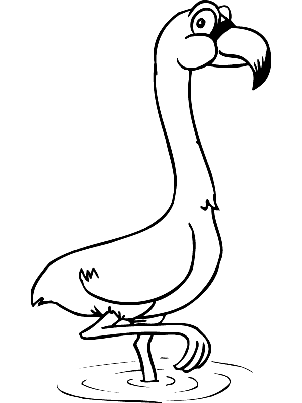 Flamingo coloring pages