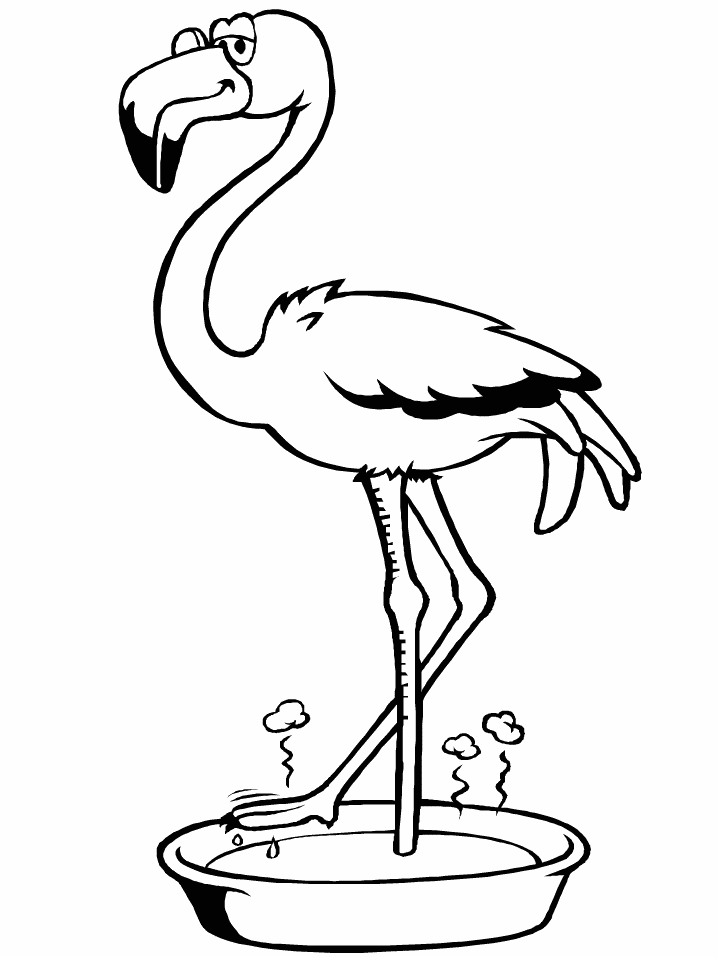 Flamingo coloring pages