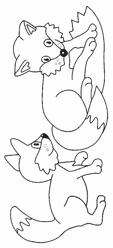 Fox coloring pages