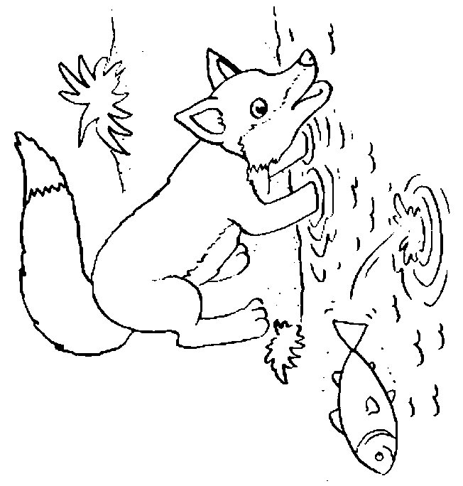 Fox coloring pages