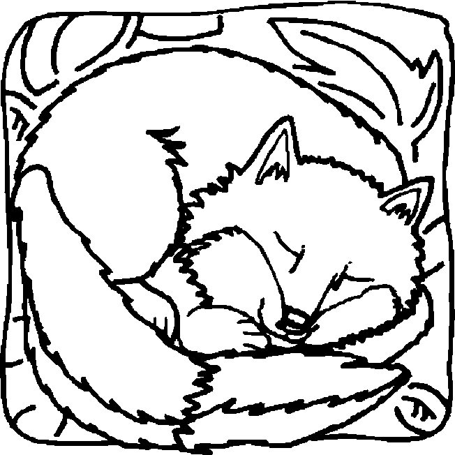 Fox coloring pages