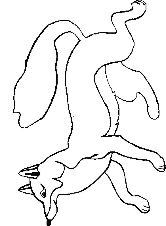 Fox coloring pages