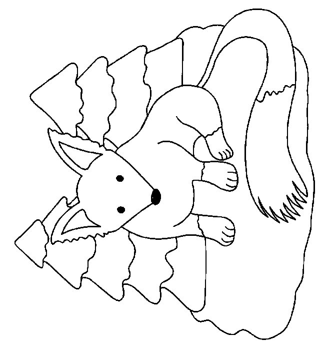 Fox coloring pages