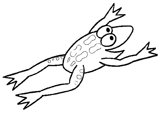 Frog coloring pages