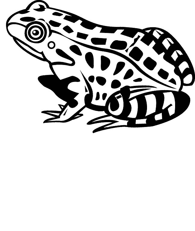 Frog coloring pages