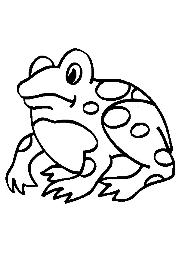 Frog coloring pages