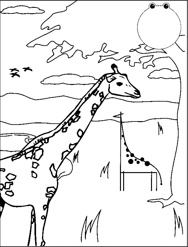 Giraffe