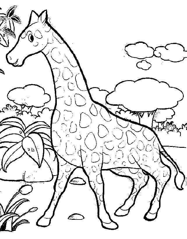 Giraffe coloring pages