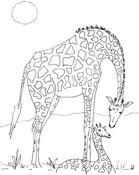 Giraffe coloring pages