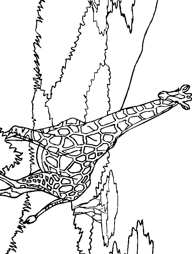 Giraffe coloring pages