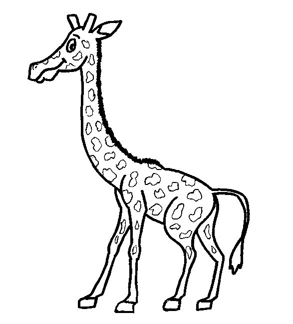 Giraffe coloring pages