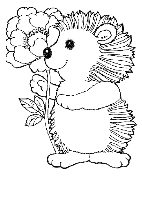 Hedgehog coloring pages