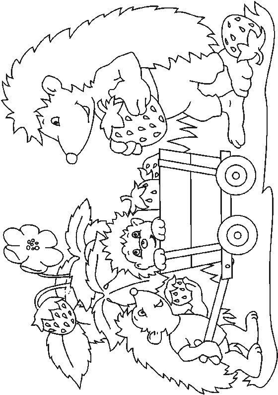 Hedgehog coloring pages