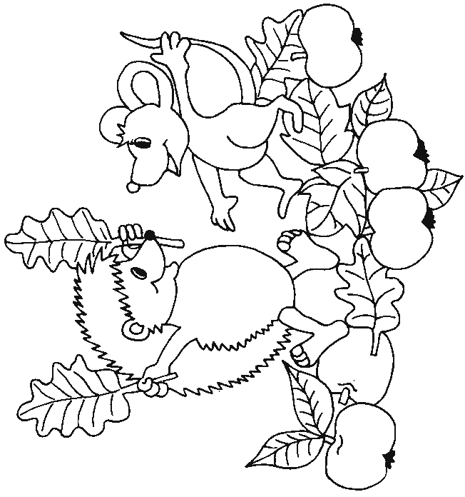 Hedgehog coloring pages