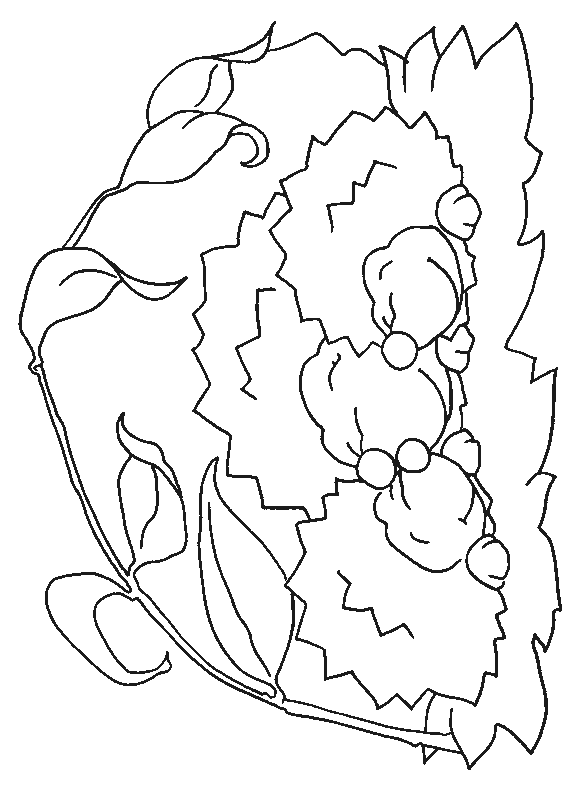 Hedgehog coloring pages