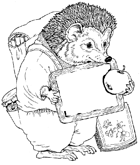 Hedgehog coloring pages