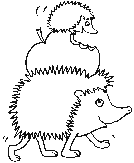 Hedgehog coloring pages