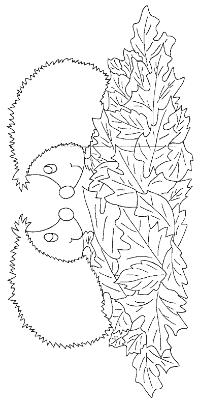 Hedgehog coloring pages