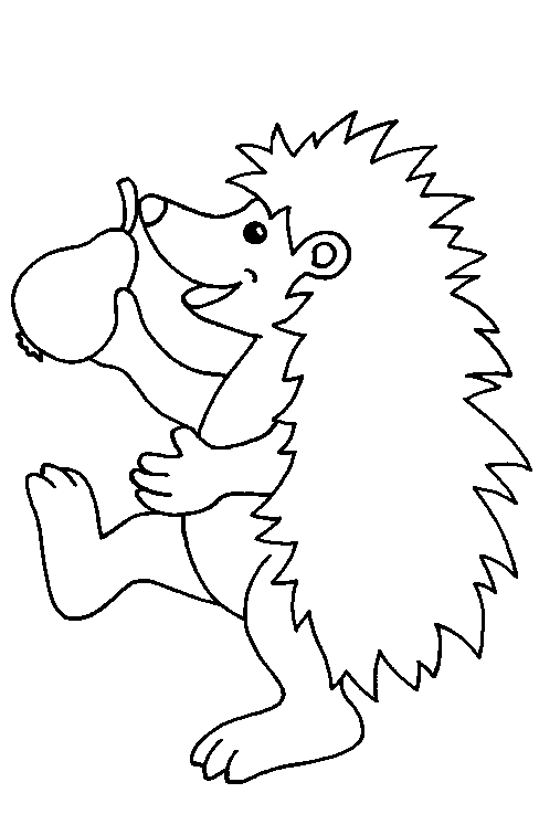 Hedgehog coloring pages