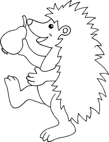 Hedgehog coloring pages