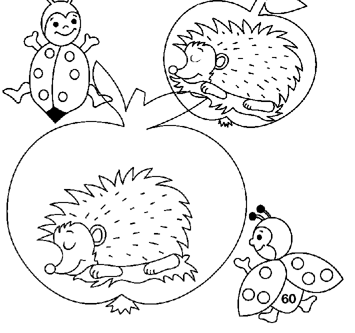 Hedgehog coloring pages