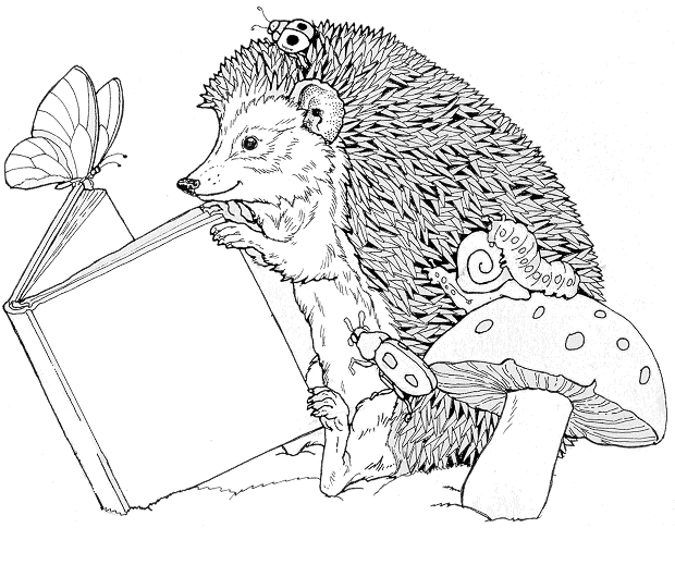 Hedgehog