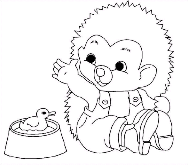 Hedgehog coloring pages