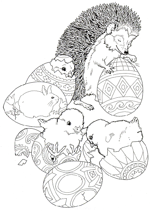 Hedgehog coloring pages