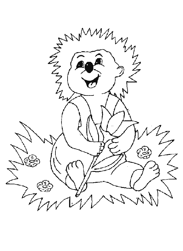 Hedgehog coloring pages