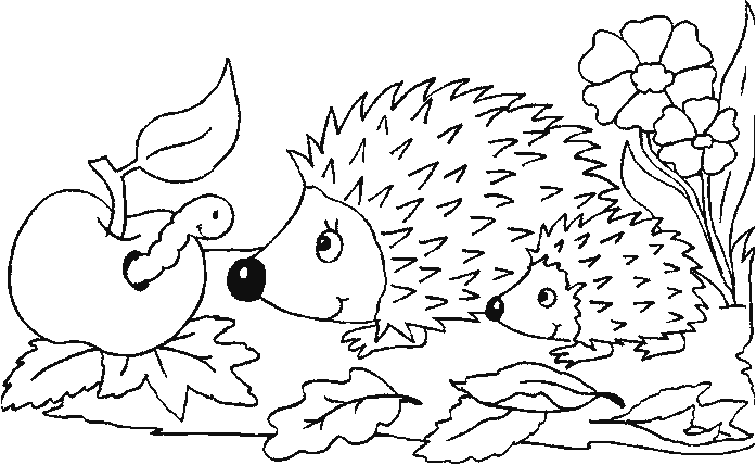 Hedgehog