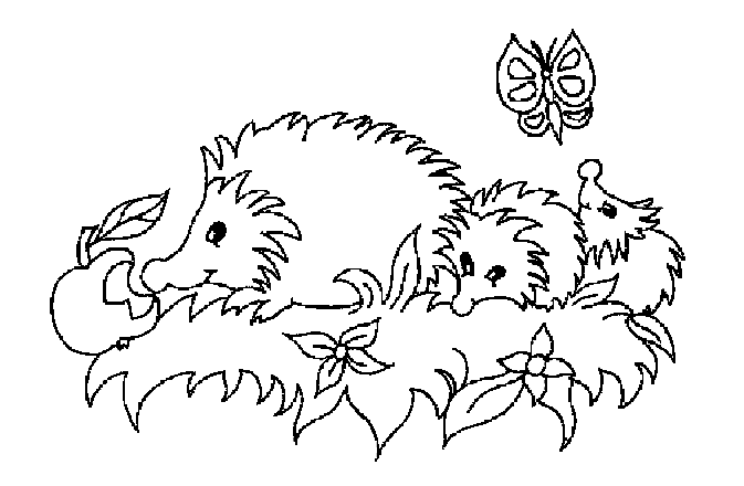 Hedgehog