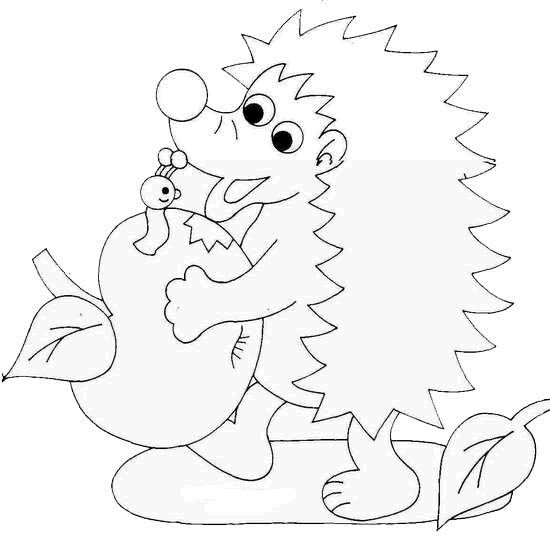 Hedgehog