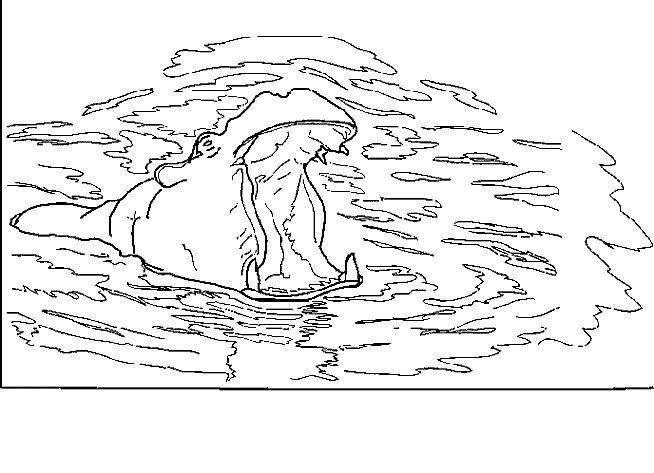 Hippo coloring pages