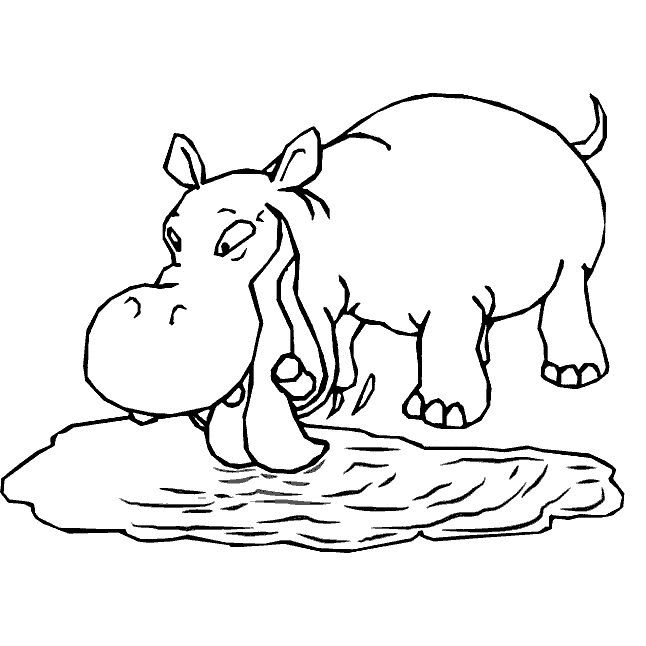 Hippo coloring pages