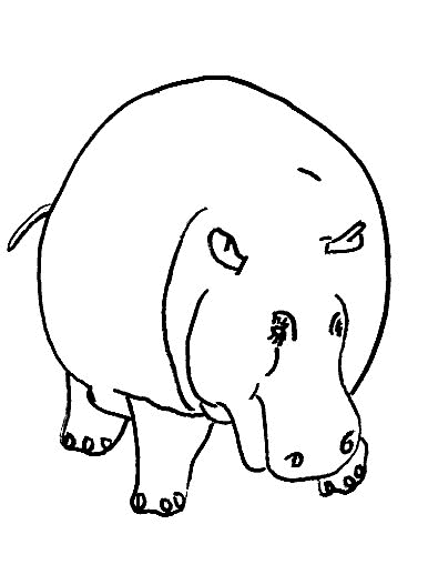 Hippo