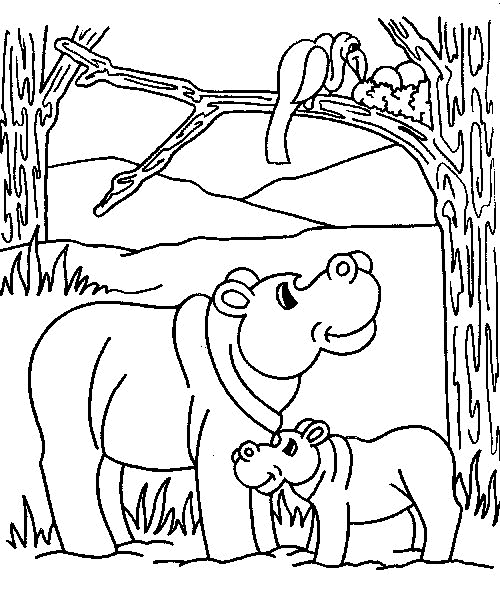 Hippo coloring pages