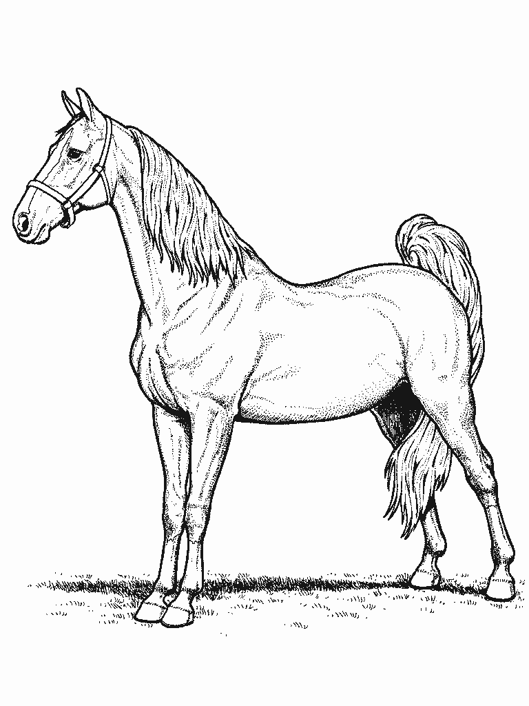 Horse coloring pages