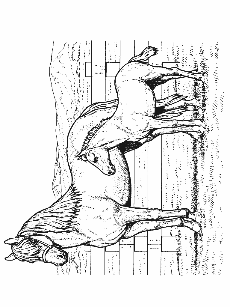 Horse coloring pages