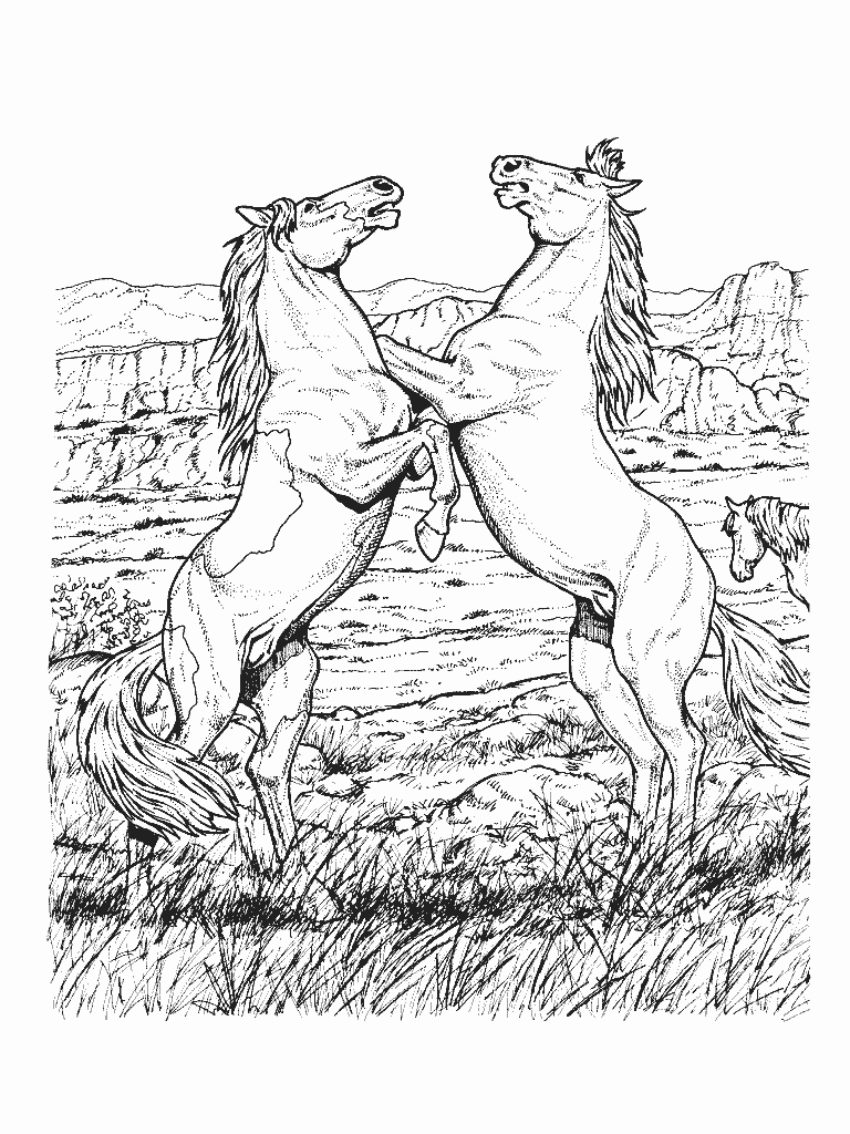 Horse coloring pages