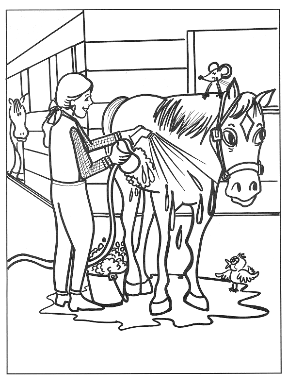 Horse coloring pages