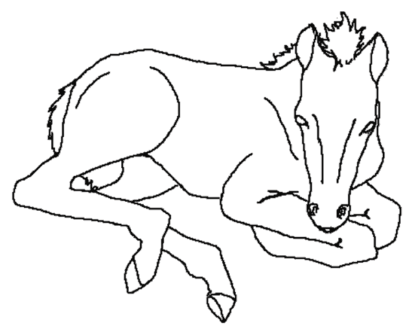 Horse coloring pages