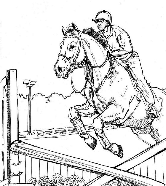 Horse coloring pages