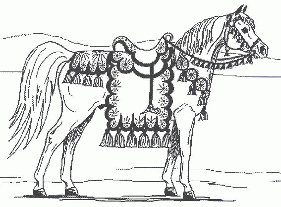 Horse coloring pages