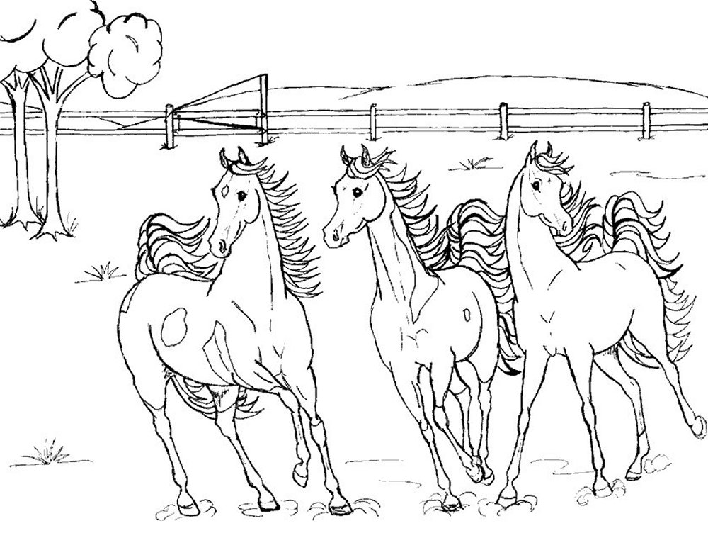 coloring pages animal coloring pages horse