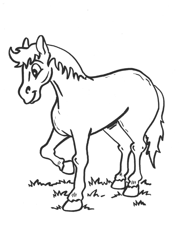 Horse coloring pages