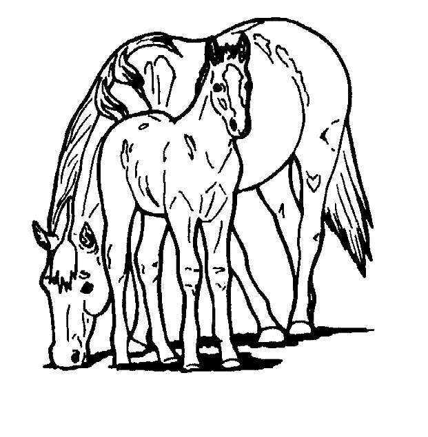 Horse coloring pages