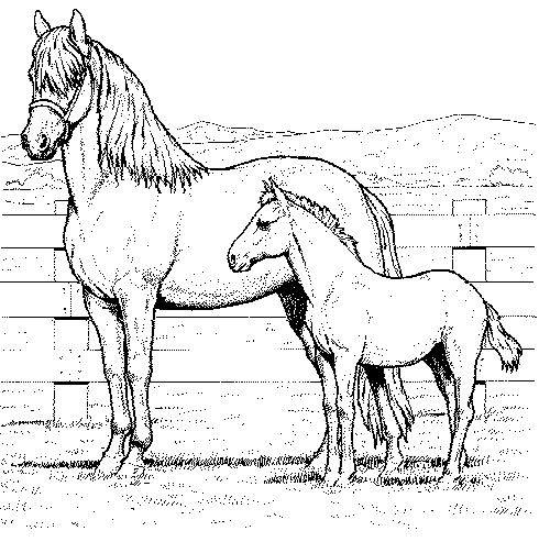 Horse coloring pages