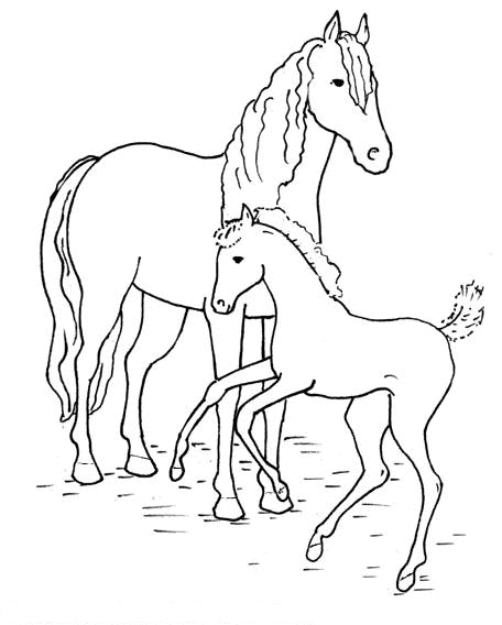 Horse coloring pages